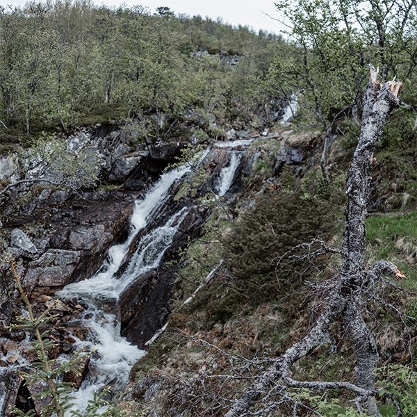Ulvik, Ulvikafjord, Hardanger Bridge, Norway