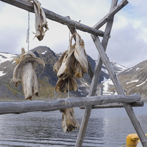 Honningsvåg, North Cape, Magerøya, North Cape Hall