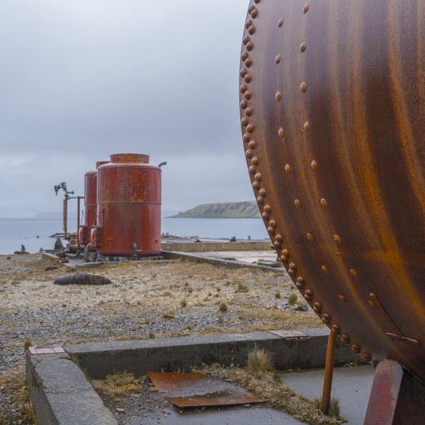 Grytviken, South Georgia